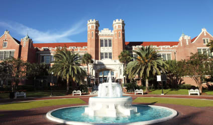 Card Thumbnail - Best Colleges in Florida + Full List of Schools