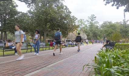 Colleges in Tampa: Full List of Schools | BestColleges