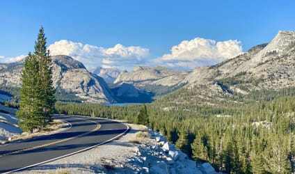 Card Thumbnail - The Best Nurse Practitioner Programs in California 2023
