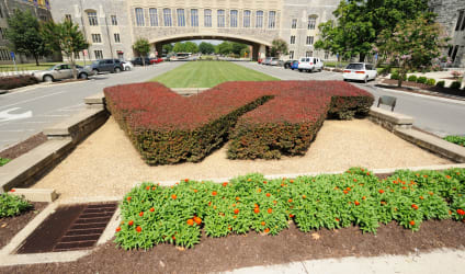 Card Thumbnail - Virginia Tech Ends Legacy Admissions