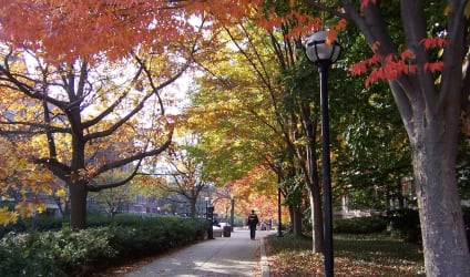 Card Thumbnail - Best College Towns in Michigan