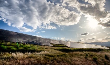 Card Thumbnail - CU Denver to Add Master’s in Sustainable Business