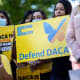 Card Thumbnail - Here’s How DACA Court Decisions Could Impact College Students