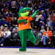 Card Thumbnail - University of Florida: Delete TikTok