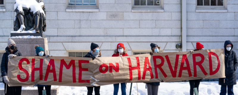 Harvard Grad Student Shares Tips for Planning Impactful Protests
