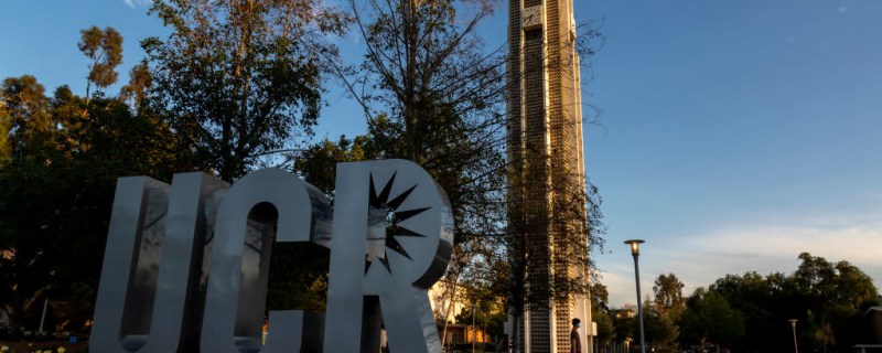 Colleges Look to Re-Engage Stopped-Out Students