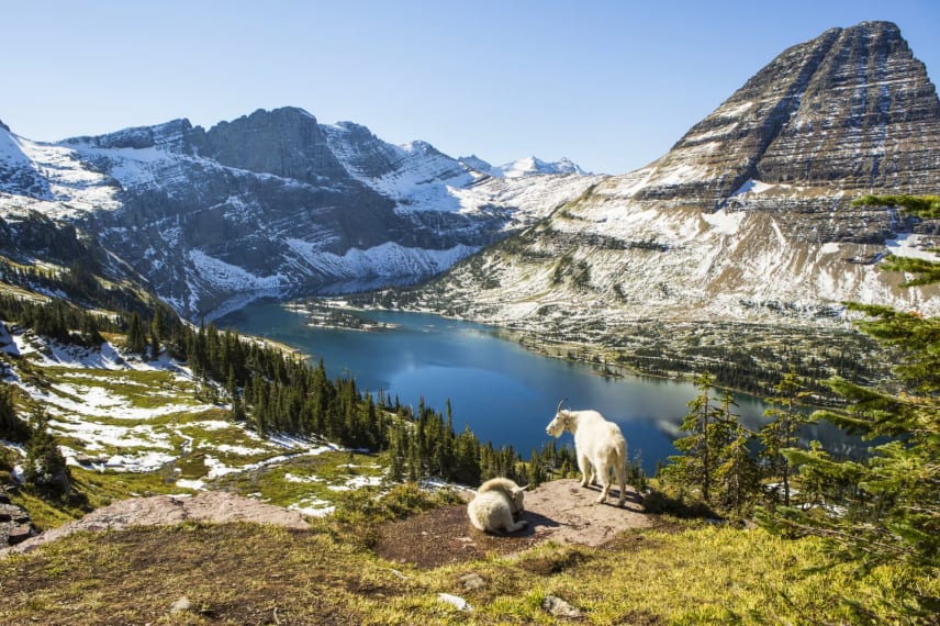 Online Colleges in Montana