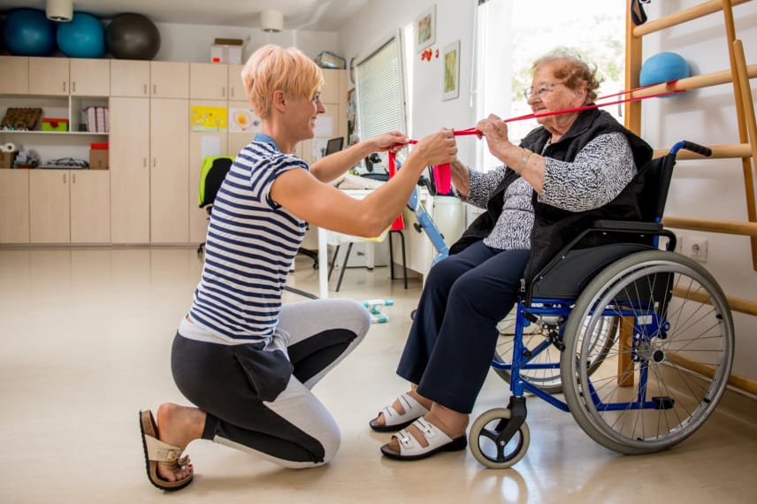 Online Physical Therapy Assistant Schools