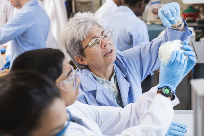 Online Master’s In Science Education 2021