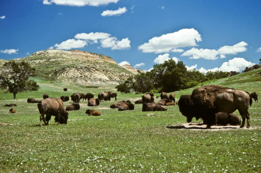 Online Schools In North Dakota
