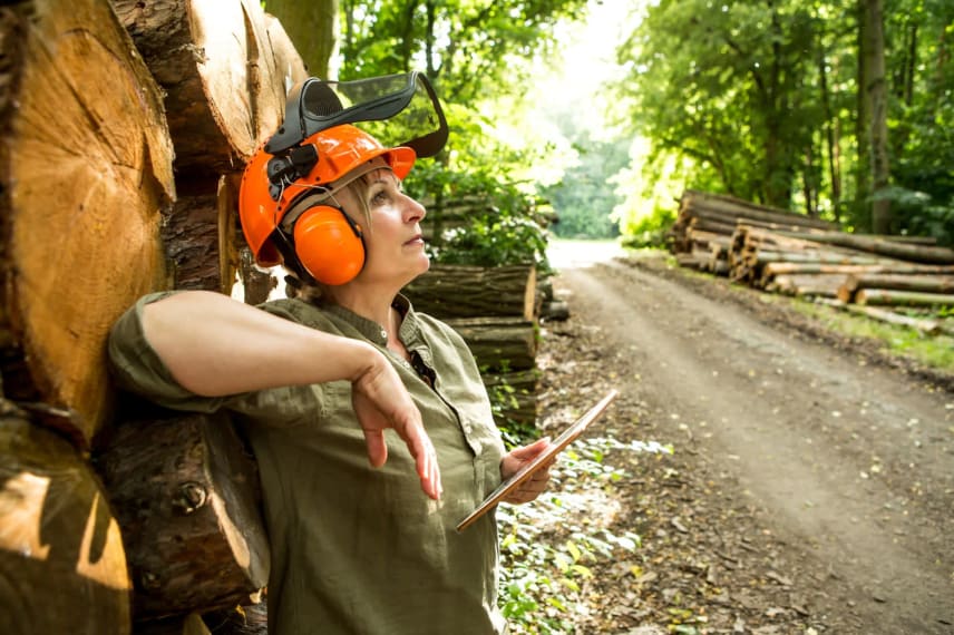 Online Forestry Degrees 2022