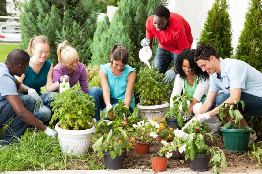 Best Sustainability Degrees 2023