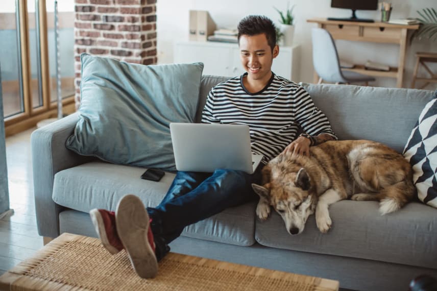 Guide To Pet Costs For College Students