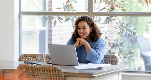 The Online Learning Experience