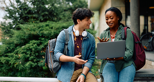 Online Student Satisfaction