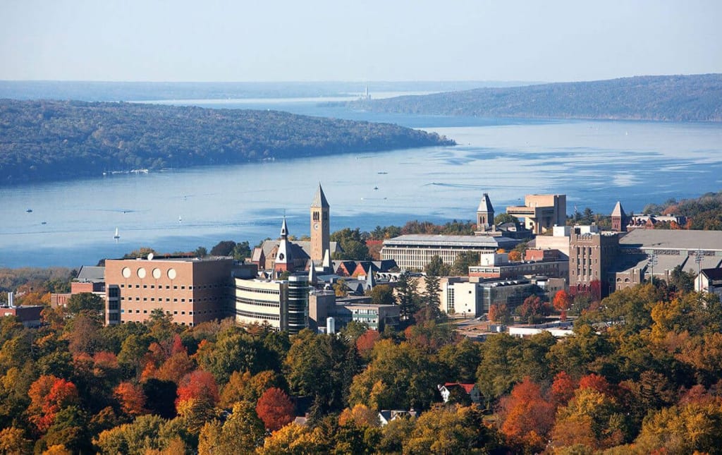 cornell arts programs