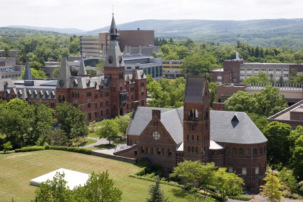 The Ivy League Schools: What They Are & How to Get In