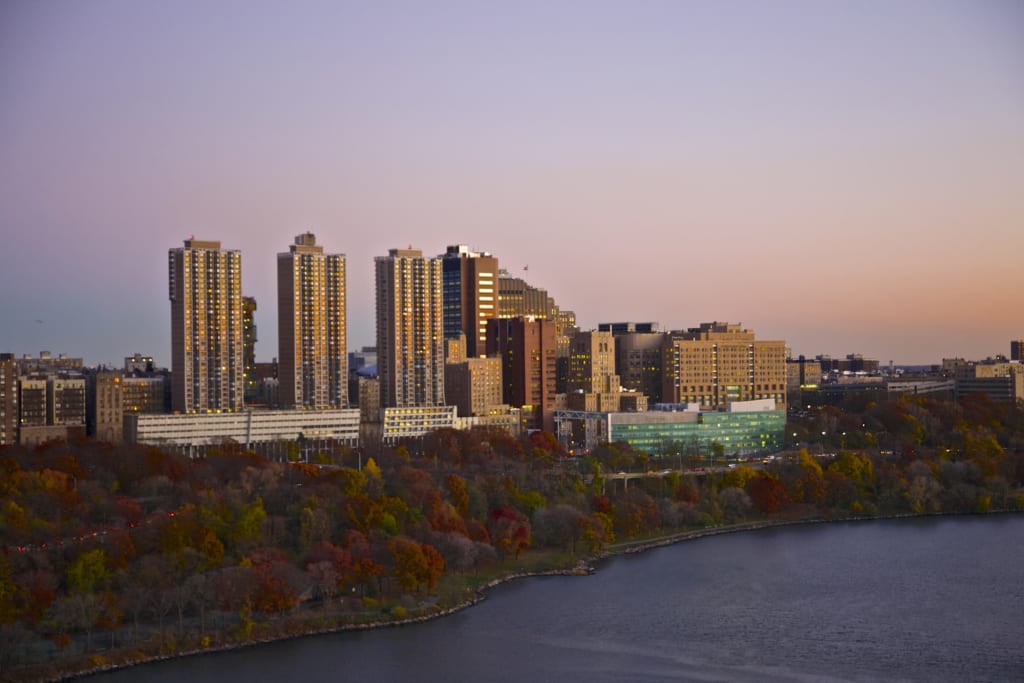 How to Get Into Columbia University: All You Need to Know