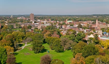 Card Thumbnail - What Are the SUNY Schools?