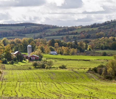 Farmstead on a cloudy day with scattered sunlinght.