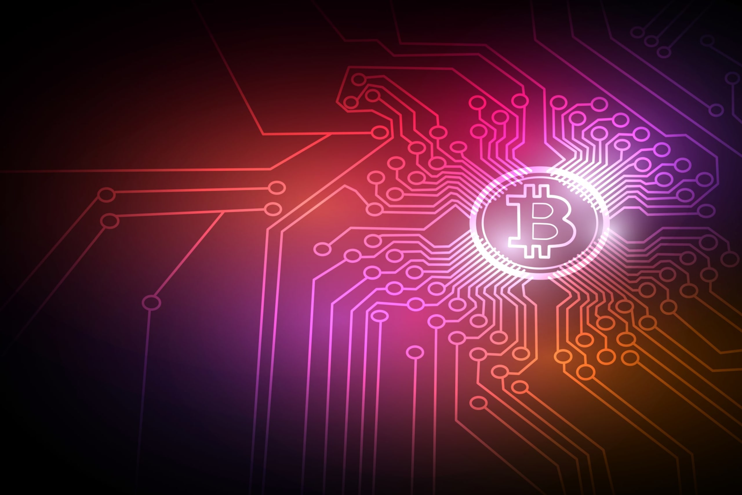 Can You Pay College Tuition With Crypto?