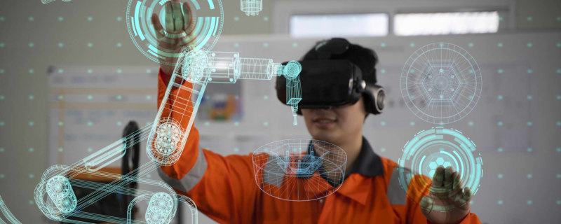 Higher Education in the Metaverse