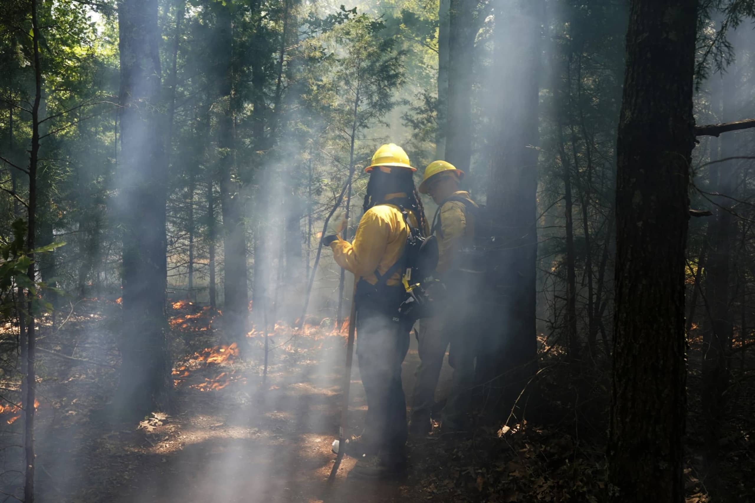 AAMU students standing in a drak forest as part of the FireDawgs firefighting group.