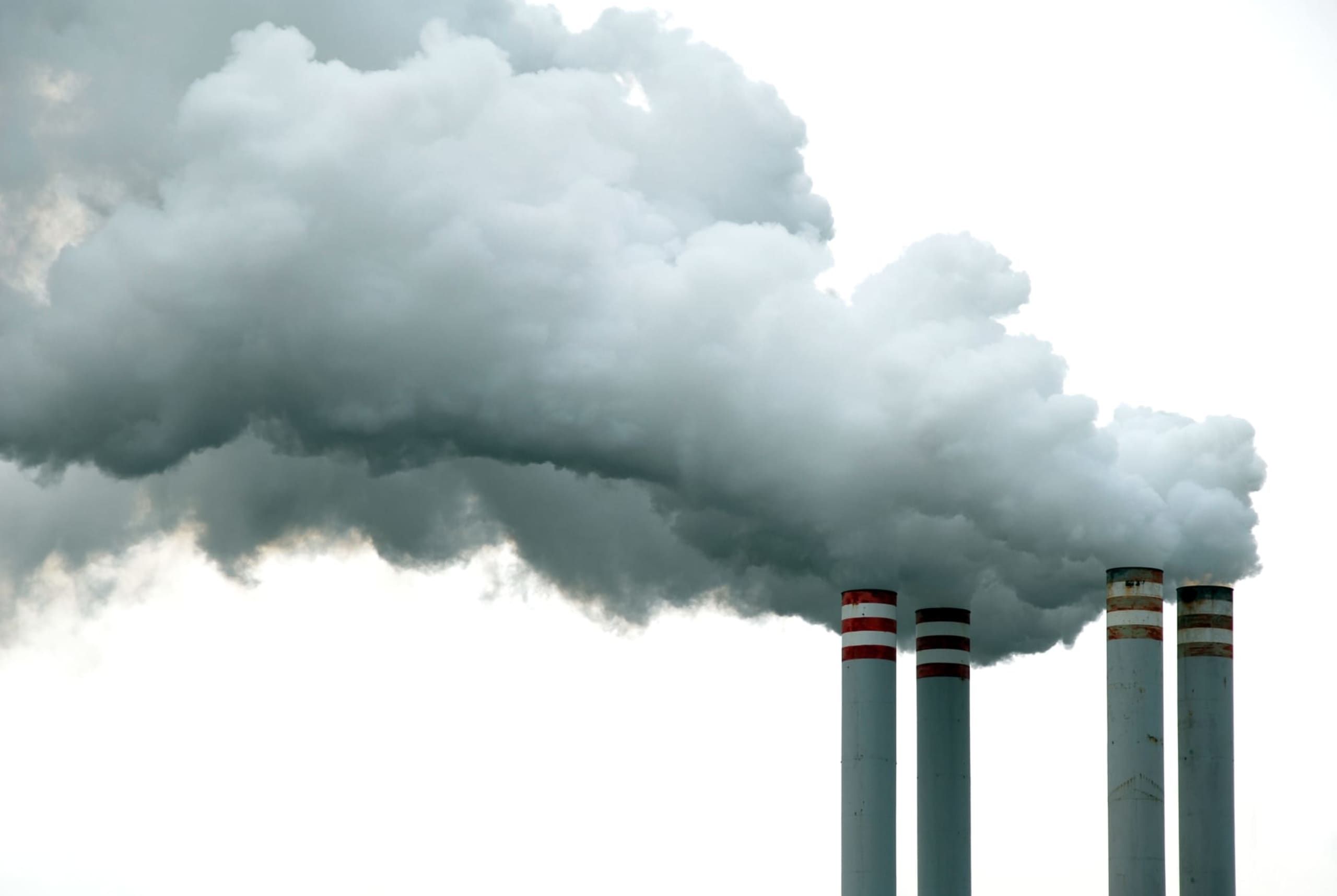 College Biology Textbooks Haven’t Kept Up With Climate Change