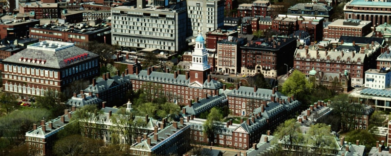 What Is the Best University in the World?