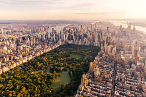 2022 Best Online Colleges in New York City