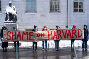 Harvard Grad Student Shares Tips for Planning Impactful Protests