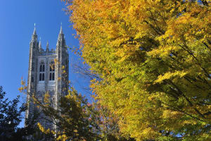Princeton Will Dissociate and Divest From Fossil Fuel Industry