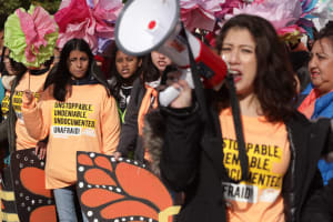 Higher Ed Organizations Lobby to Protect DACA Recipients