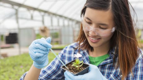8 Reasons to Study in Texas
