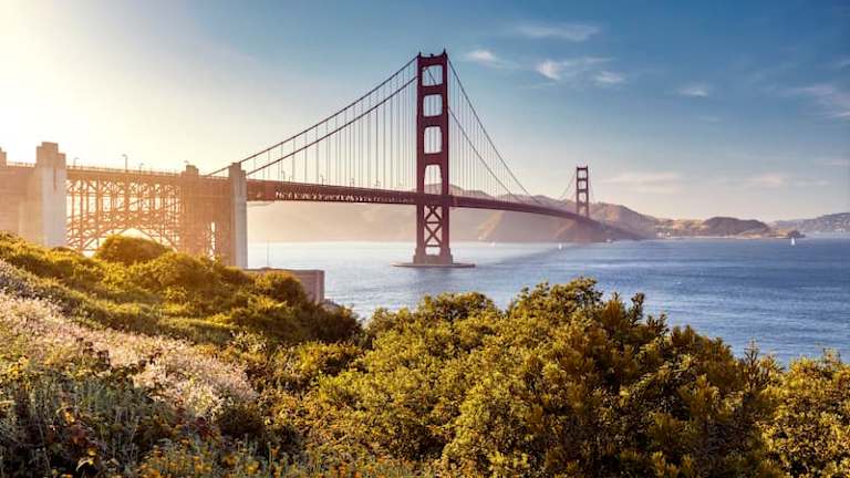 The Best Nurse Practitioner Programs in California