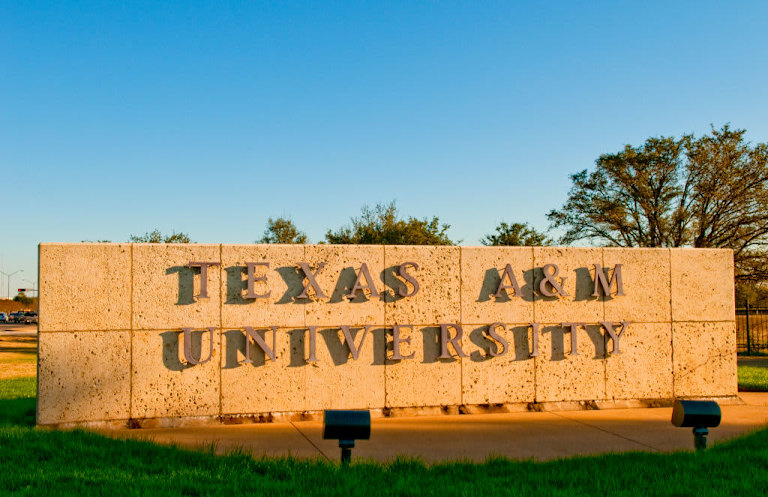 More Than 100 Scholarships on Hold at Texas Universities Due to DEI Ban