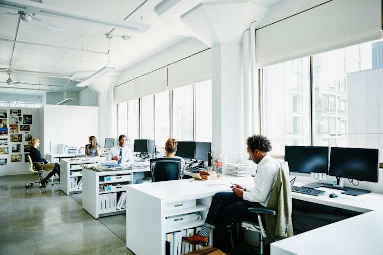 Industrial Organizational Psychology Bachelor’s Degree Guide