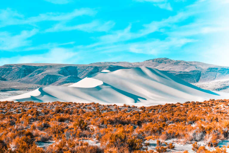 Top Nevada RN-to-BSN Degree Programs