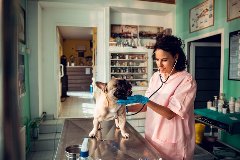 10 Exciting Jobs in the Veterinary Field