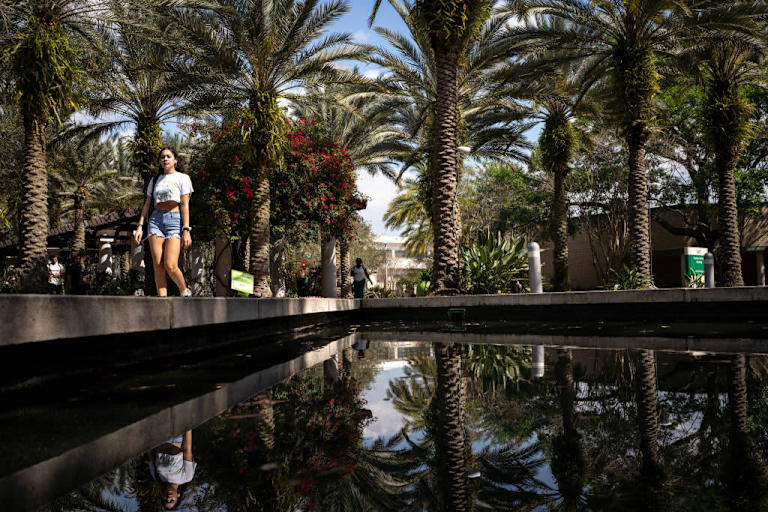 University of South Florida Announces Plans for AI, Cybersecurity College