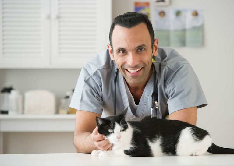 Online Veterinary Tech Schools