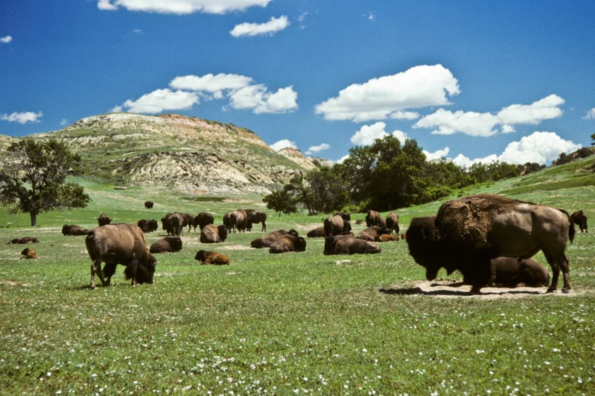 Online Colleges in North Dakota
