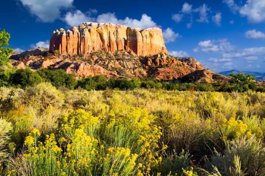 Online Colleges in New Mexico 2021