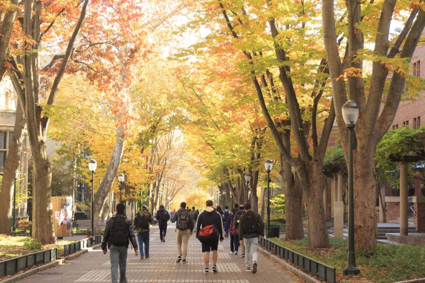 Pro Tips to Help You Get Used to College Campuses