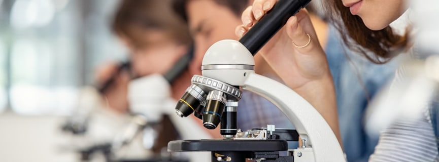 Should You Pursue a STEM Major?