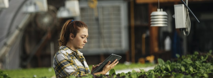 What Is Agribusiness?