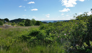 Åkervik 1:88