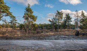 Bunge Sandviksvägen 47