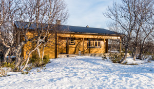Rödingen 6