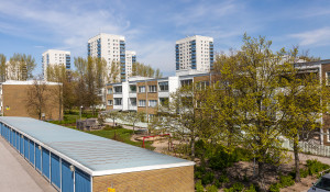 Axel Danielssons väg 89